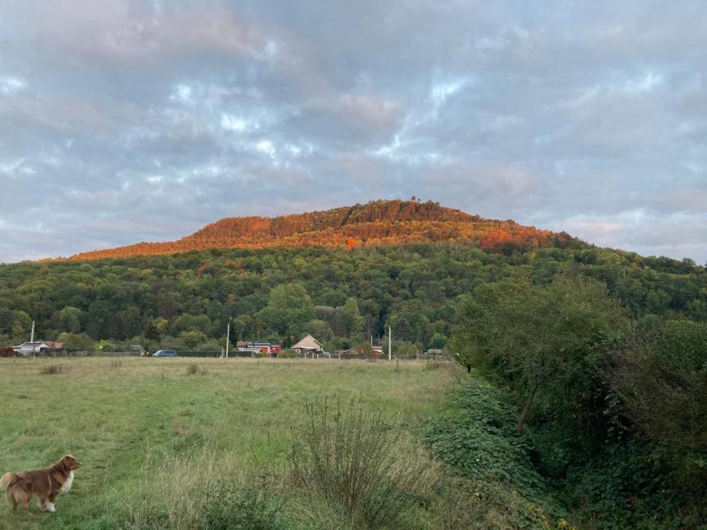 Jena Paradies Zewnętrze zdjęcie